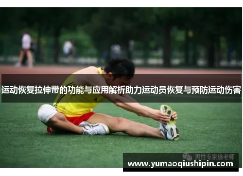 运动恢复拉伸带的功能与应用解析助力运动员恢复与预防运动伤害