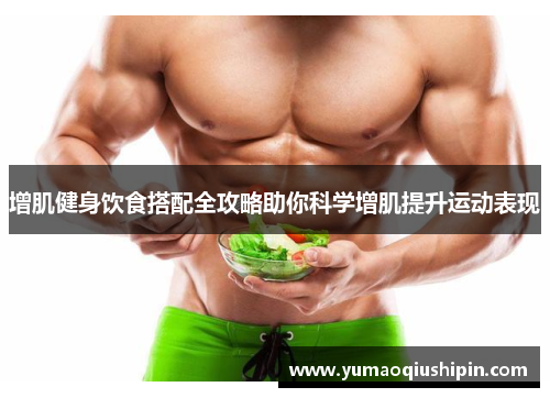 增肌健身饮食搭配全攻略助你科学增肌提升运动表现