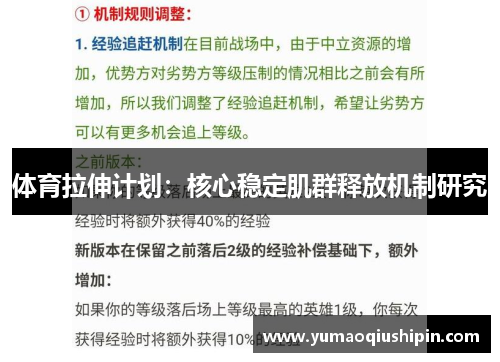 体育拉伸计划:核心稳定肌群释放机制研究