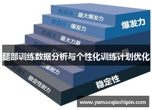 腿部训练数据分析与个性化训练计划优化